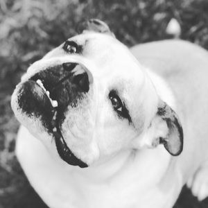 Meet your Posher, Mckenzie